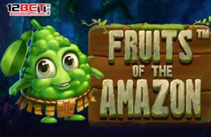 Fruits-of-the-Amazon